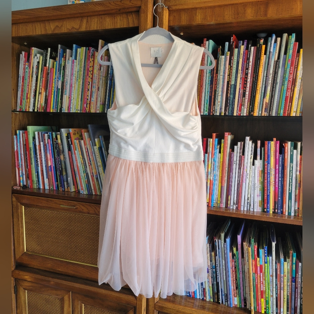 Ballerina Cream Knit Blush Tulle Dress HD in Paris Anthropologie size L